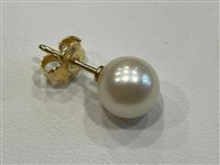 Orecchini Salvini Donna in Oro giallo Perla N83716N - N83716N